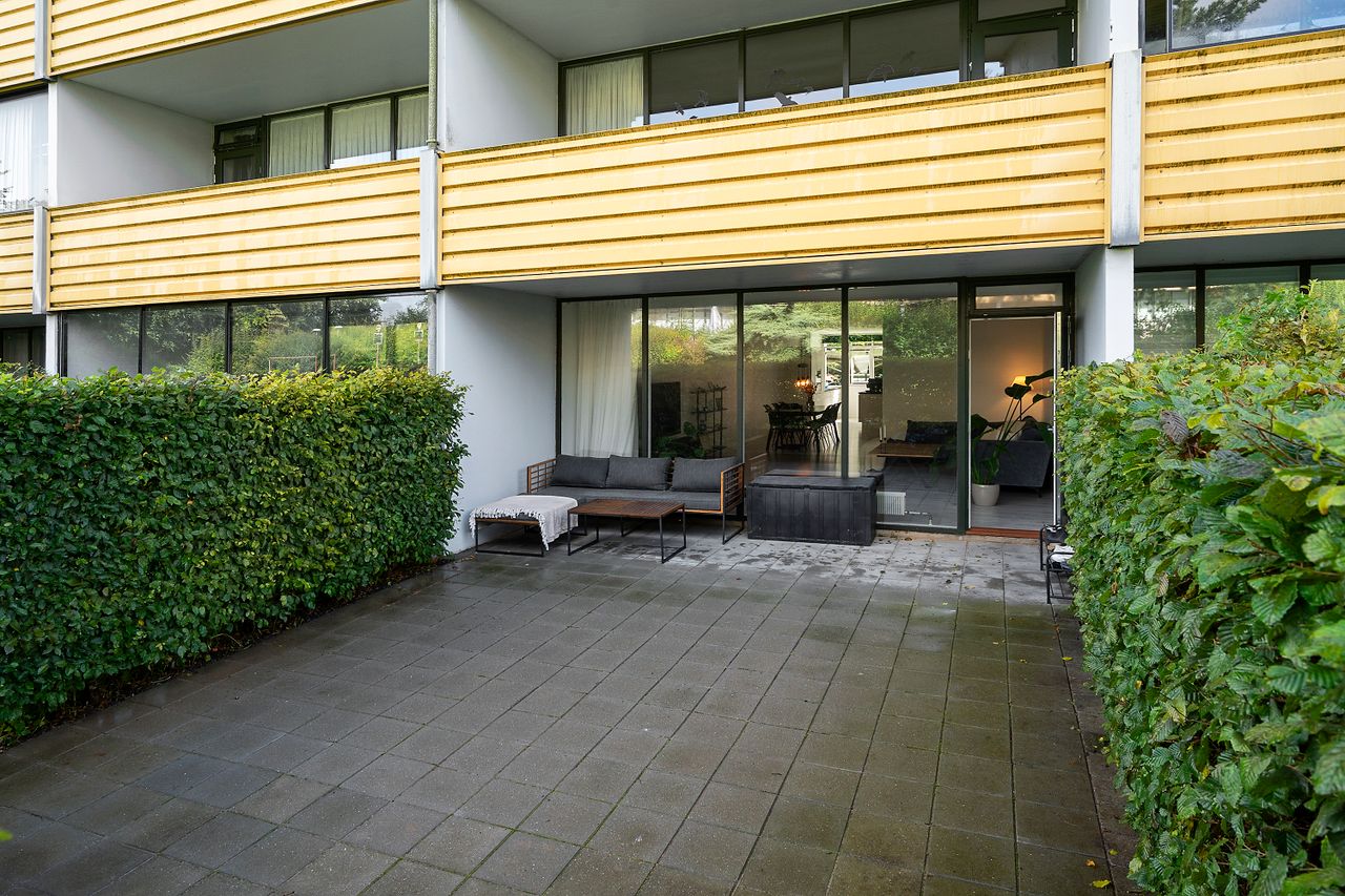 image 02